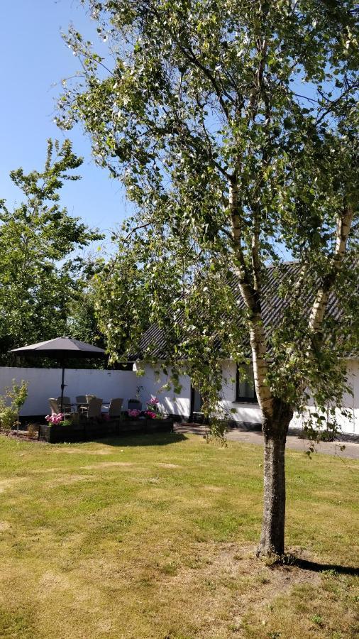 Lokken House Hotel Buitenkant foto